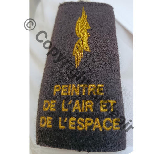 PASSANT EPAULE PEINTRES DE L.AIR ET DE L.ESPACE Src.Y.GENTY 